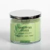 Eucalyptus Leaves Triple Wick Jar Candle