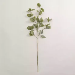 Eucalyptus Seeded Spray