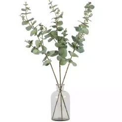 Eucalyptus Sprays, Set of 3