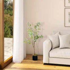 Eucalyptus Tree in Black Pot, 4 ft.