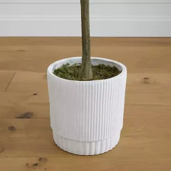 Eucalyptus Tree in White Planter, 6 ft.