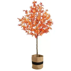 Fall Maple Tree in Woven Planter, 6 ft.