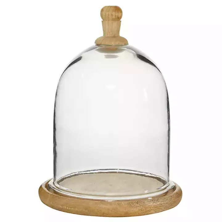 Farmhouse Wood and Glass Dome Cloche, 11 in.