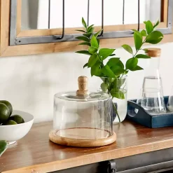 Farmhouse Wood and Glass Cloche, 6 in.