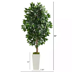 Ficus Tree in Mossy White Tower Planter