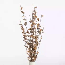 Foam Eucalyptus Spray