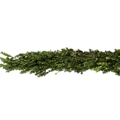 Fresh Cut Boxwood Christmas Garland