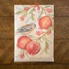 Fresh Pomegranates Sachet