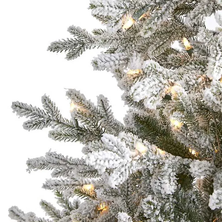 6 ft. Clear Lit Flocked Fraser Fir Christmas Tree