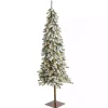 6 ft. Flocked Pre-Lit Alpine Christmas Tree