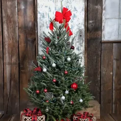 5 ft. Fresh Cut Fraser Fir Christmas Tree