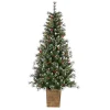 6 ft. Lit Glazier Pine Planter Christmas Tree