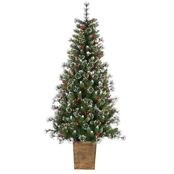 6 ft. Lit Glazier Pine Planter Christmas Tree