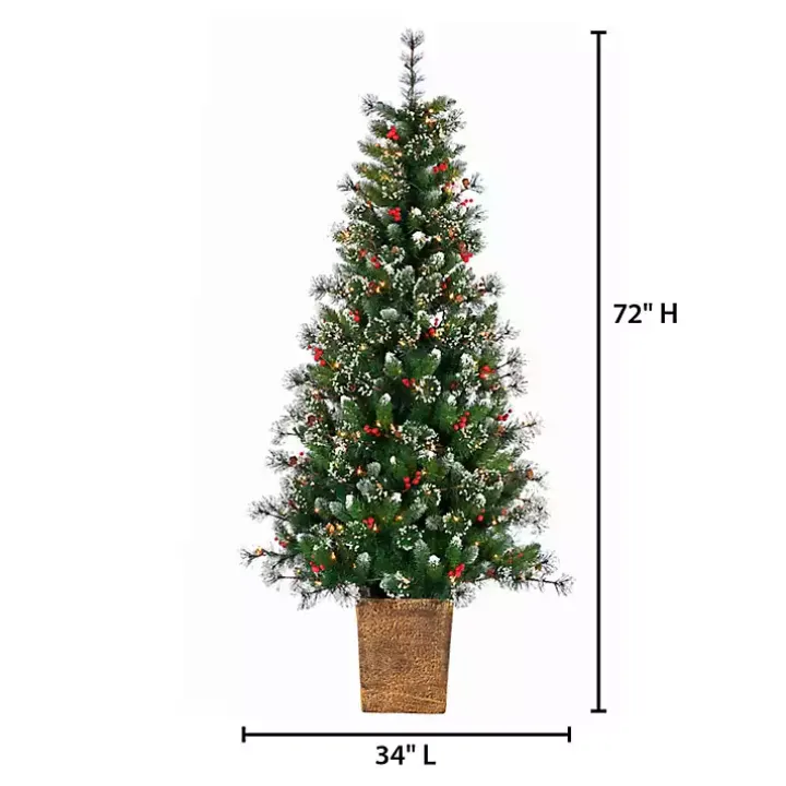 6 ft. Lit Glazier Pine Planter Christmas Tree