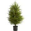 3 ft. Norfolk Island Pine Potted Christmas Tree