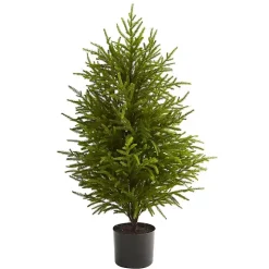 3 ft. Norfolk Island Pine Potted Christmas Tree
