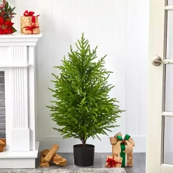 3 ft. Norfolk Island Pine Potted Christmas Tree