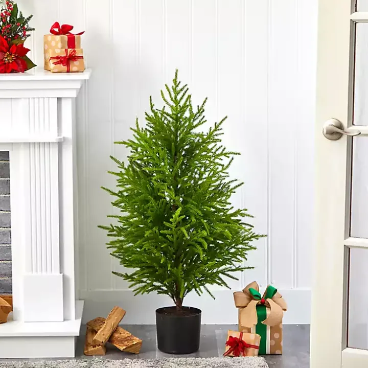 3 ft. Norfolk Island Pine Potted Christmas Tree