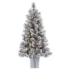4.5 ft. Pre-Lit Flocked Potted Pine Christmas Tree