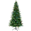 6 ft. Pre-Lit Globe Light Duxbury Christmas Tree