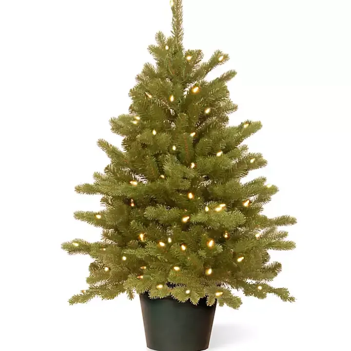 3 ft. Pre-Lit Hampton Spruce Potted Christmas Tree