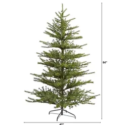 7 ft. Vancouver Mountain Pine Christmas Tree