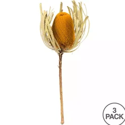 Gold Dried Jumbo Banksia Stems, Set of 3
