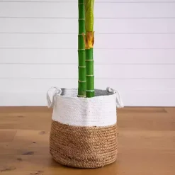 Golden Cane Palm Tree in Woven Planter, 8 ft.