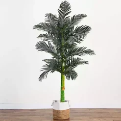 Golden Cane Palm Tree in Woven Planter, 8 ft.