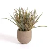 Grass Arrangement in Cement Pot