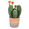 Green Cactus in Clay Pot, 14 in.