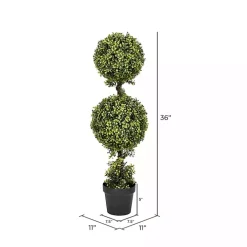 Green Double Ball Boxwood Potted Topiary