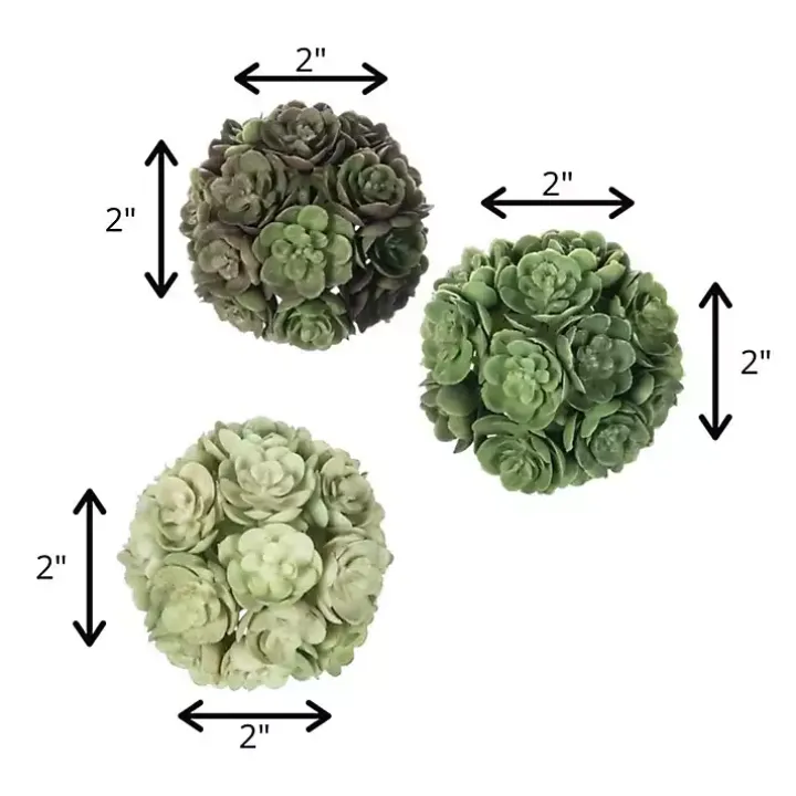 Green Echeveria Orbs, Set of 3