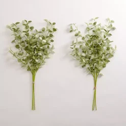 Green Eucalyptus Bundles, Set of 2
