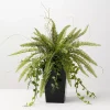 Green Fern Plant in Black Pot