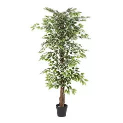 Green Ficus Potted Tree, 73 in.