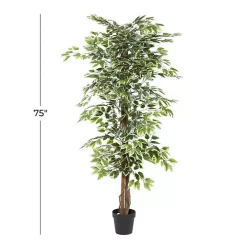 Green Ficus Potted Tree, 73 in.