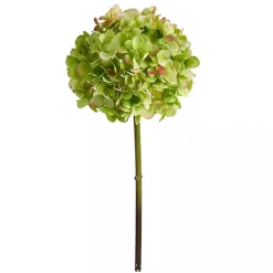 Green Hydrangea Bloom Stems, Set of 3