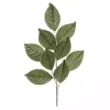 Green Magnolia Leaf Sprays, Set of 6