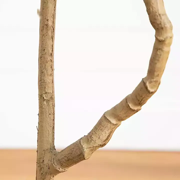 Green Pieris Tree in Black Planter