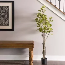 Green Potted Cotinus Coggygria Tree, 4 ft.