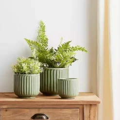 Green Ribbed Terracotta Planters, Set of 3