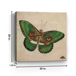 Green Vintage Butterfly Canvas Art Print