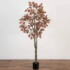 Harvest Dogwood Tree in Nursery Planter, 6 ft.