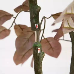 Harvest Dogwood Tree in Nursery Planter, 3.5 ft.