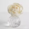 Hello Gorgeous Flower Petal Diffuser Set