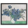 Irises II Framed Canvas Art Print, 22x18 in.