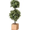 Ivy Double Ball Topiary in Wood Planter