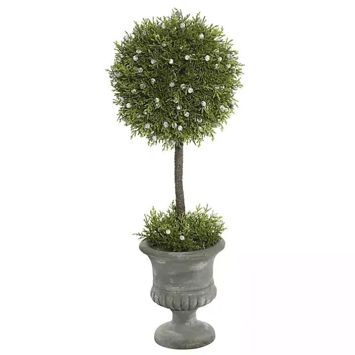 Juniper Ball Tree in Pedestal Urn