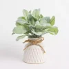 Lamb's Ear Arrangement in White Vase